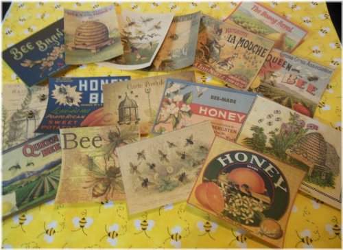 Hive Treasures: A Collection of 16 Vintage Bee and Honey Bee Prints