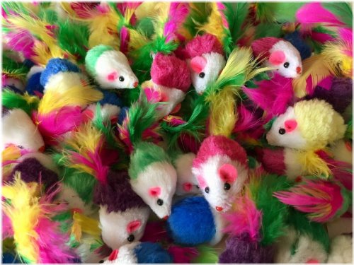 Fuzzy Rattling Mice with Feather Tails