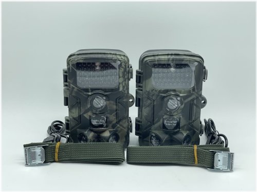 Wildlife Eye Trail Camera