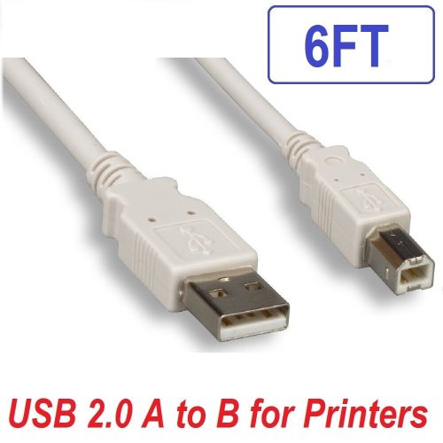 Beige USB Printer Cable - 6ft, Type A Male to B Male