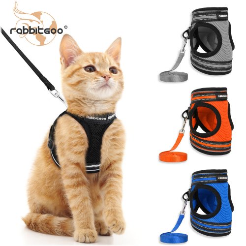 FreedomFeline Harness and Leash Set