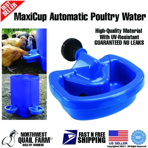 FeatherFlow Automatic Watering Cup for Your Flock