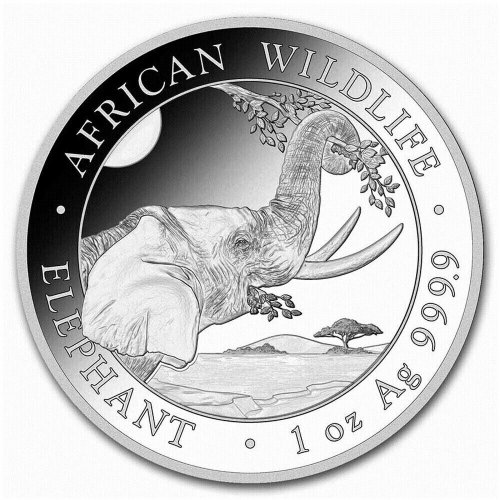 Somalian African Elephant Silver Coin - 2023 Edition