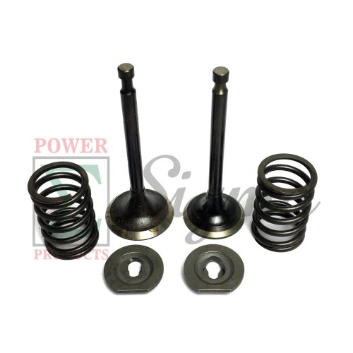 Engine Valve Spring Kit for Generator