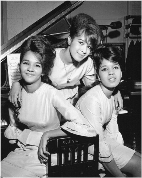 Soulful Melodies: The Ronettes 8x10 Glossy Photograph