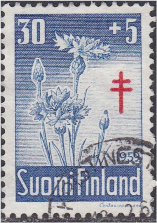 Centaurea Cyanus Flowers 1959 Stamp from Finland