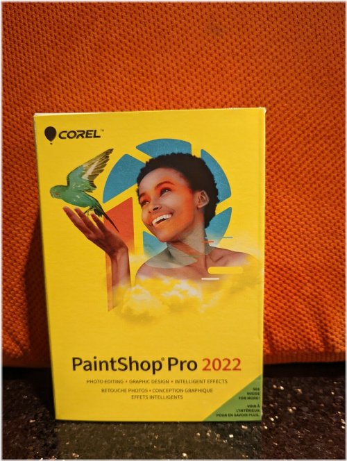 PaintShop Pro 2022