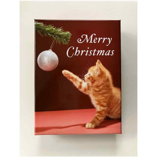 Feline Festive Greetings