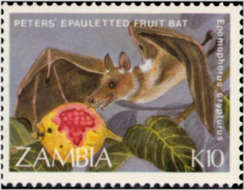 Zambian Bat Series Stamp