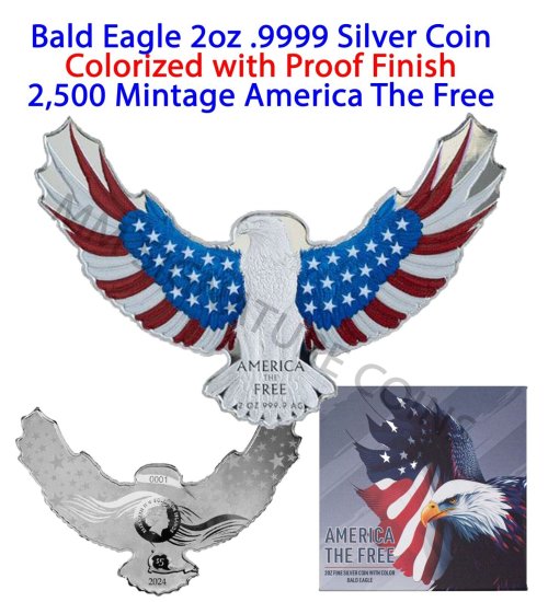 Patriotic Silver Eagle