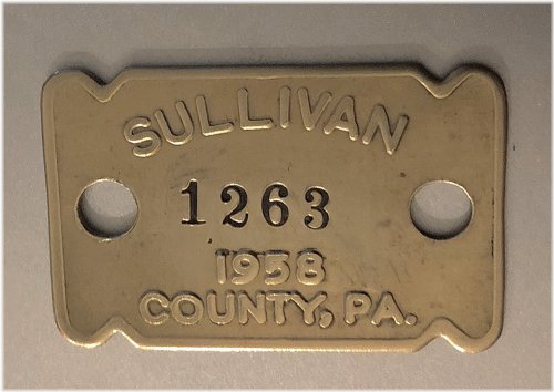Brass License Tag