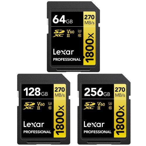 Gold Series Memory and Data Transfer Solution - Pick Your Capacity!