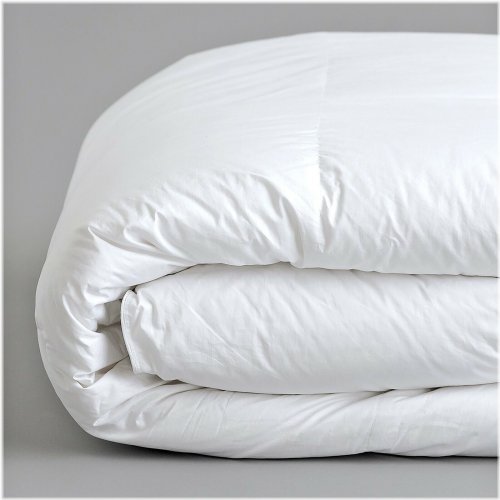 CozyCloud All Season Hypoallergenic Duvet Insert by Kaycie Gray