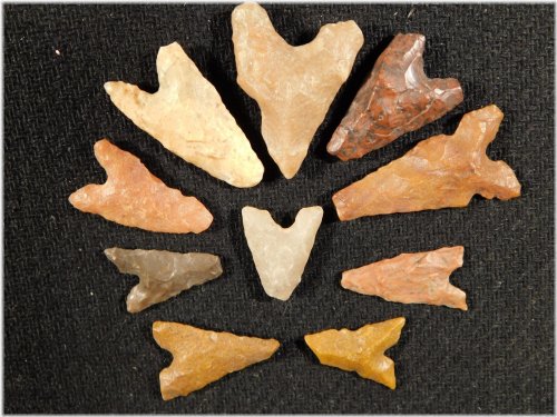 Tidikelt Arrowhead Collection