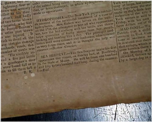 Boothbay Harbor Maine 1831 Mass. Newspaper: Sea Serpent Sighting