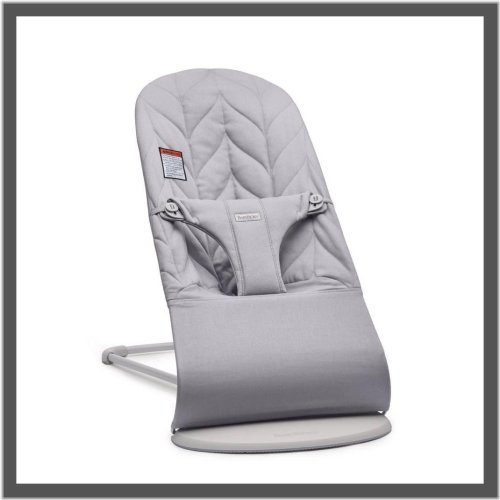 Blissful Bounce & Soothe Chair