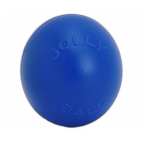 Playful Pup Push-N-Play Ball