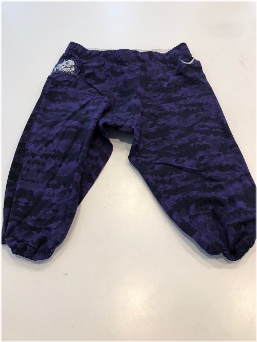 TCU Horned Frogs Nike Football Pants - Game Worn by NCAA Athletes