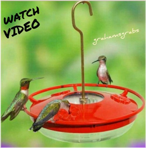 High View Mini Hummingbird Feeder