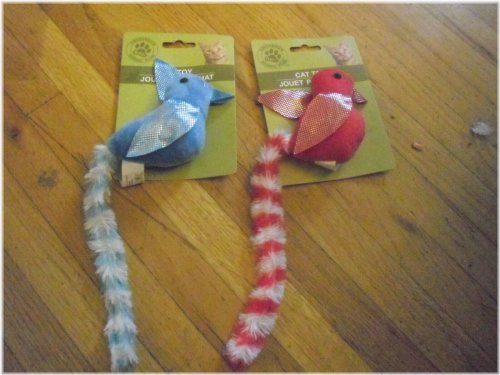 Longtail Bird Toy for Cats