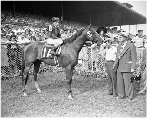 Legendary Racehorse Memorabilia Set