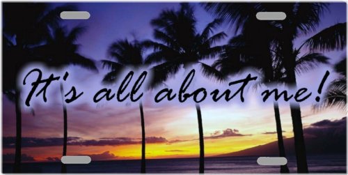 Tropical Reflections License Plate