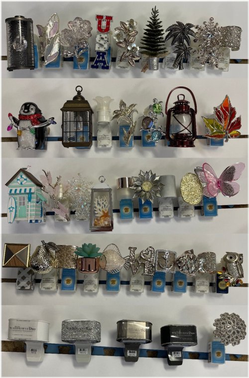 Fragrance Plug Collection - Personalize Your Space