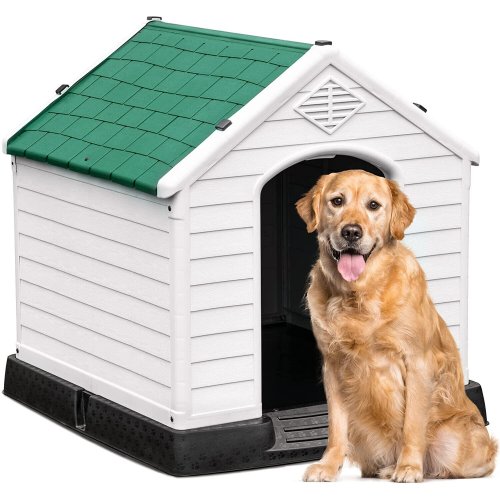 Pet Haven Retreat