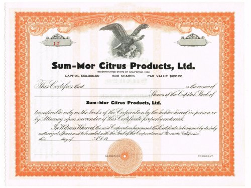 Citrus Eagle Stock Certificate