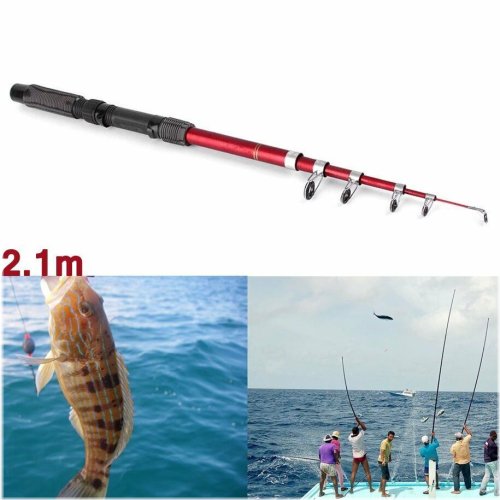 Carbon Cast Spinning Rod