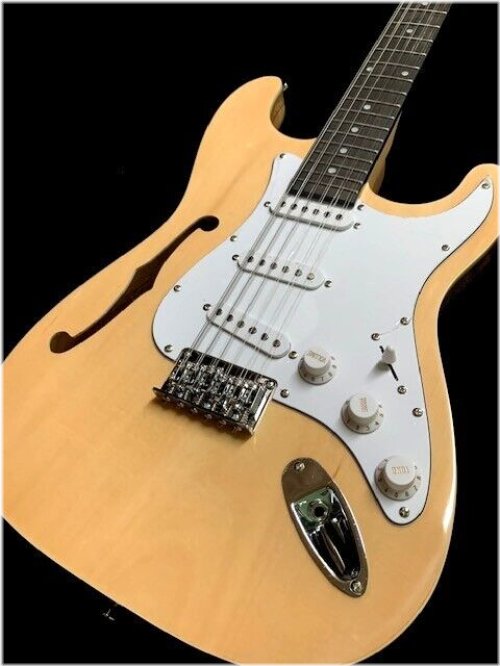 Twelve String Thinline Natural Finish Electric Guitar