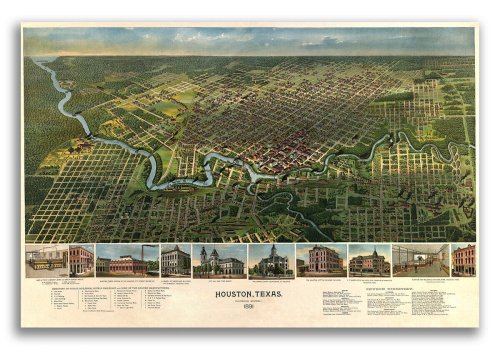 Houston in 1891: A Historic Panoramic Town Map (16x24)