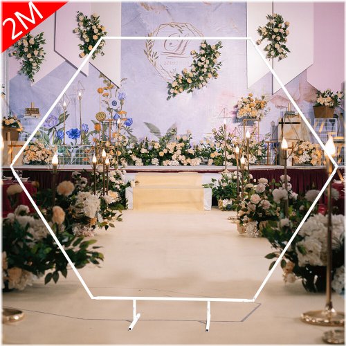 Elegant Hexagon Wedding Arch Backdrop Stand