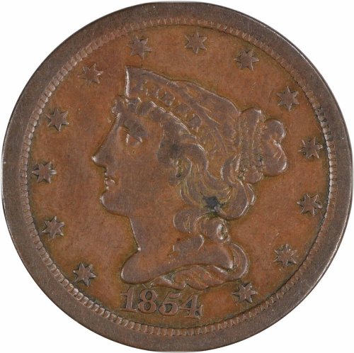 Copper Braided Beauty - 1854 #927
