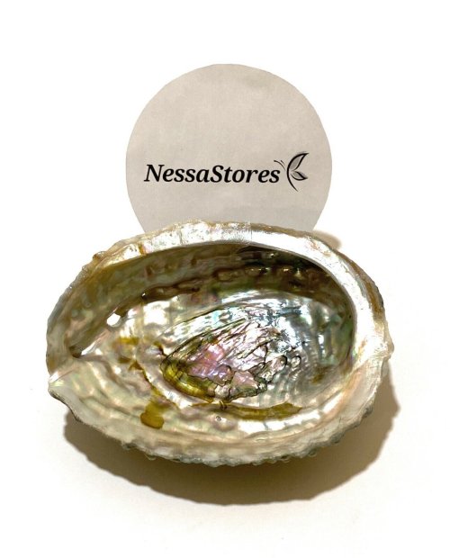 Sunset Abalone Shell Craft Piece