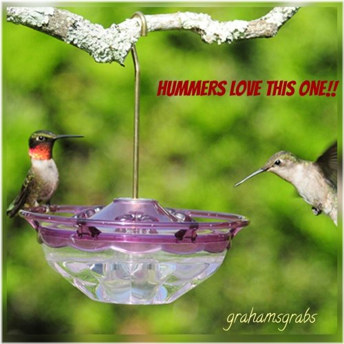 Plum Blossom Hummingbird Feeder