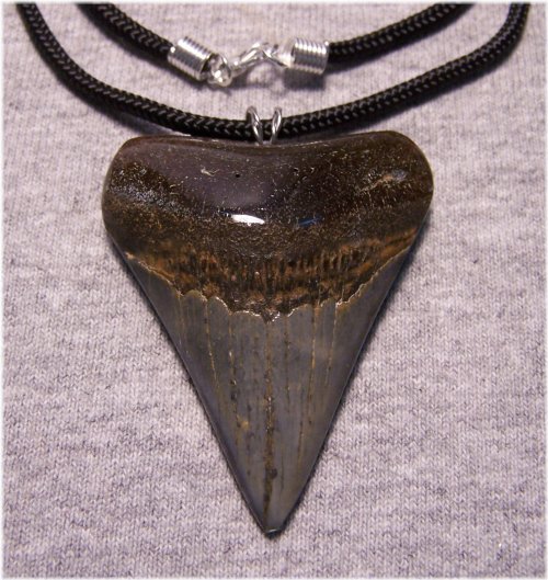 Ancient Megalodon Tooth Pendant