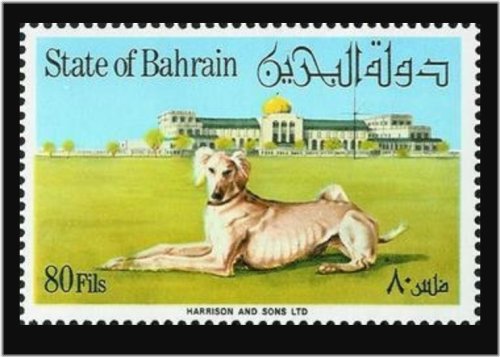 Bahrain Saluki Hound Stamp Collection