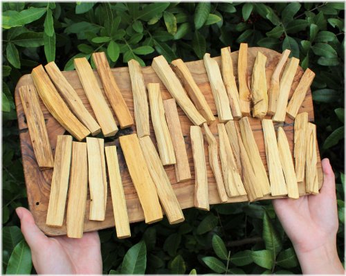 Sacred Palo Santo Bundle