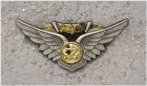 Desert Storm Aircrew Wings with Stars