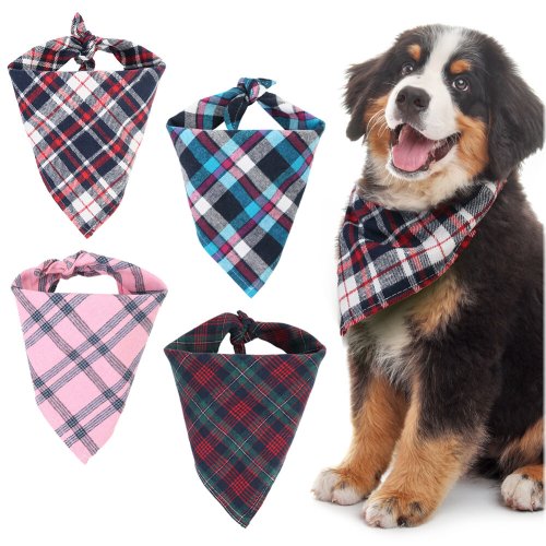 Pawsome Pet Accessories Set