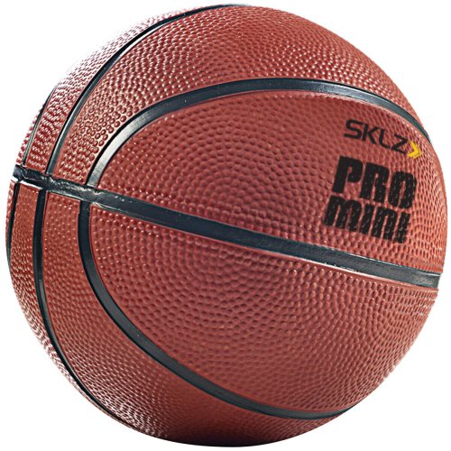 Orange Pro Shot Mini Basketball