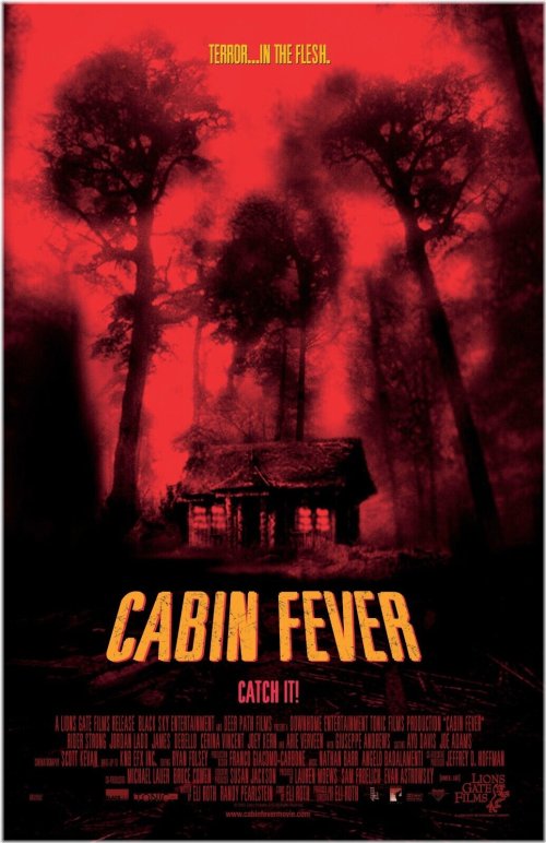 Rustic Retreat: Cabin Fever Poster Reproduction