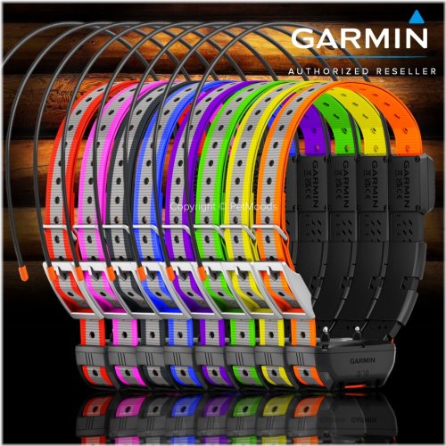 RoverTrack GPS Training Collar