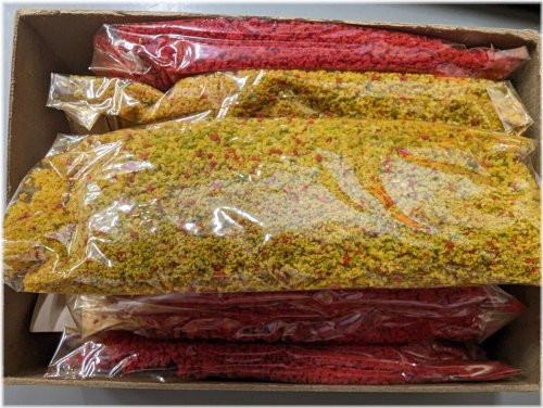 Railway Garden Blooms