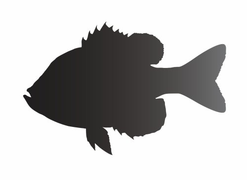 Sunfish Silhouette Stencil