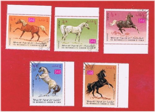 Yemen Mutawakelite Kingdom Horse Stamps