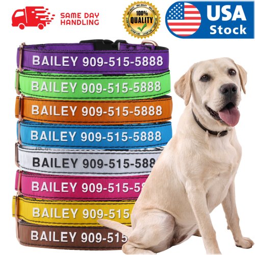 Patriot Pup Personalized Collar with Engraved ID Tag