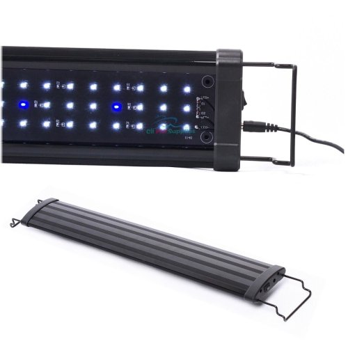 Oceanic Glow LED Lights for Aquariums