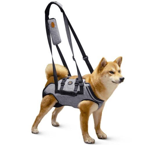 Comfy Canine Carrier: Whole Body Support Pet Sling for Small to Medium Dogs